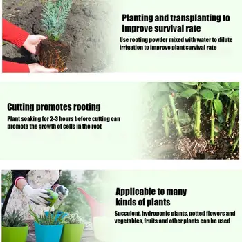 Creșterea Plantelor Promotor 20 Piese Set Solului Ghiveci, Îngrășăminte Pentru Plante De Apartament Și Transplanturi De Viteze Rădăcină De Dezvoltare